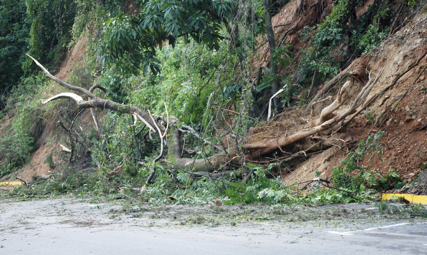 Cliffside Chaos: Landslides Spark Power Outages in Exclusive LA Neighborhood