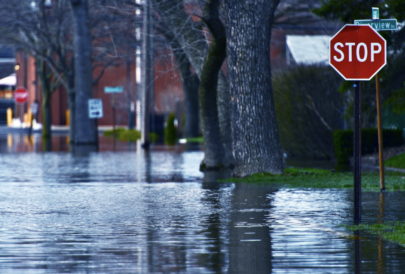 Rising Death Toll in Central Europe: Catastrophic Flooding Continues to Wreak Havoc